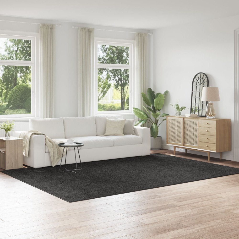 vidaXL Shaggy Mat med Latexbakgrund Mörkgrå 240x340 cm