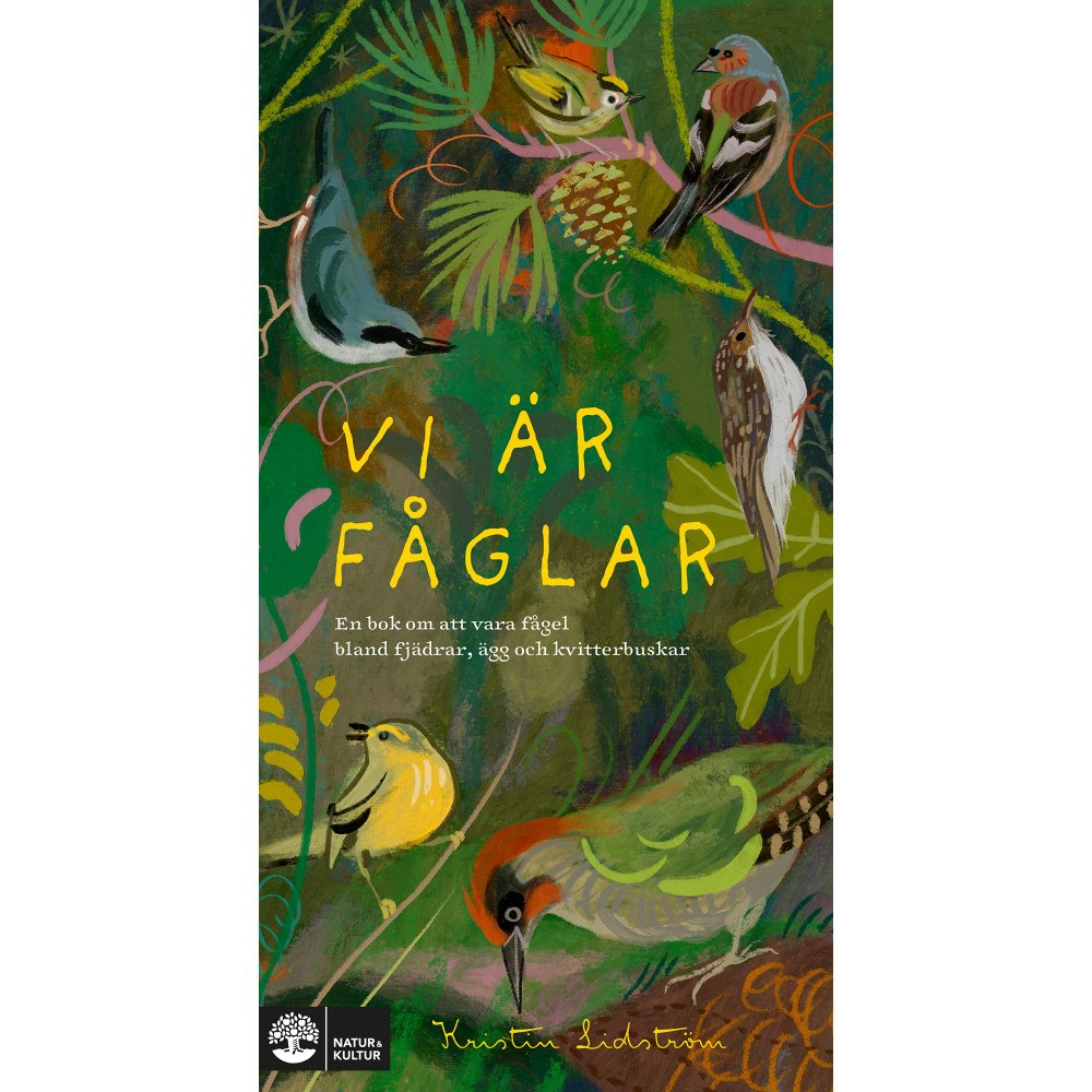 Kristin Lidström Vi är fåglar : en bok om att vara fågel bland fjädrar, ägg och kvitterbuskar (inbunden)