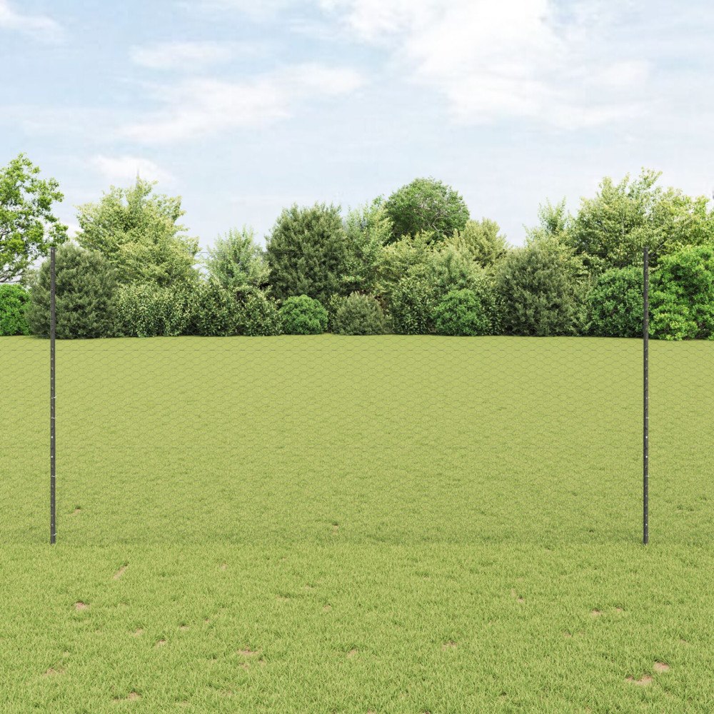 vidaXL Trädgårdsgärdset Set om 2 Grå Pulverlackerat stål 25 x 1,5 m