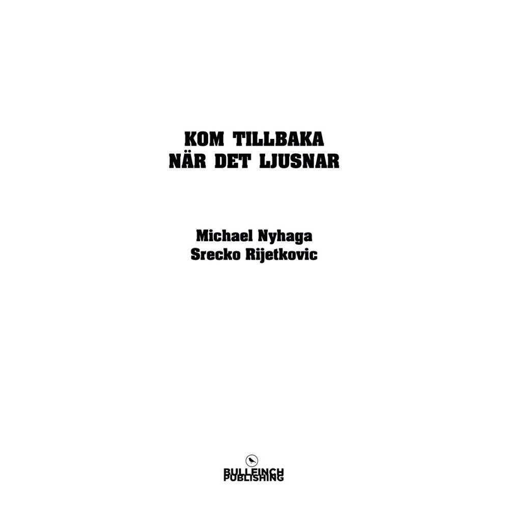 Bullfinch Publishing Kom tillbaka när det ljusnar (häftad)