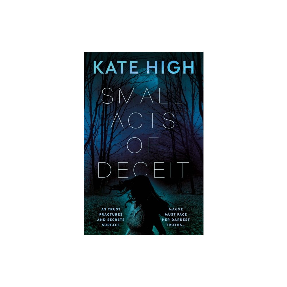 The Book Guild Ltd Small Acts of Deceit (häftad, eng)