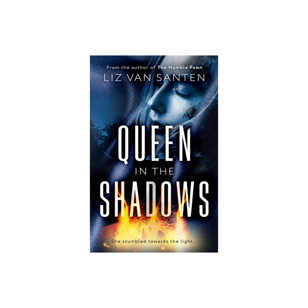 The Book Guild Ltd Queen in the Shadows (häftad, eng)