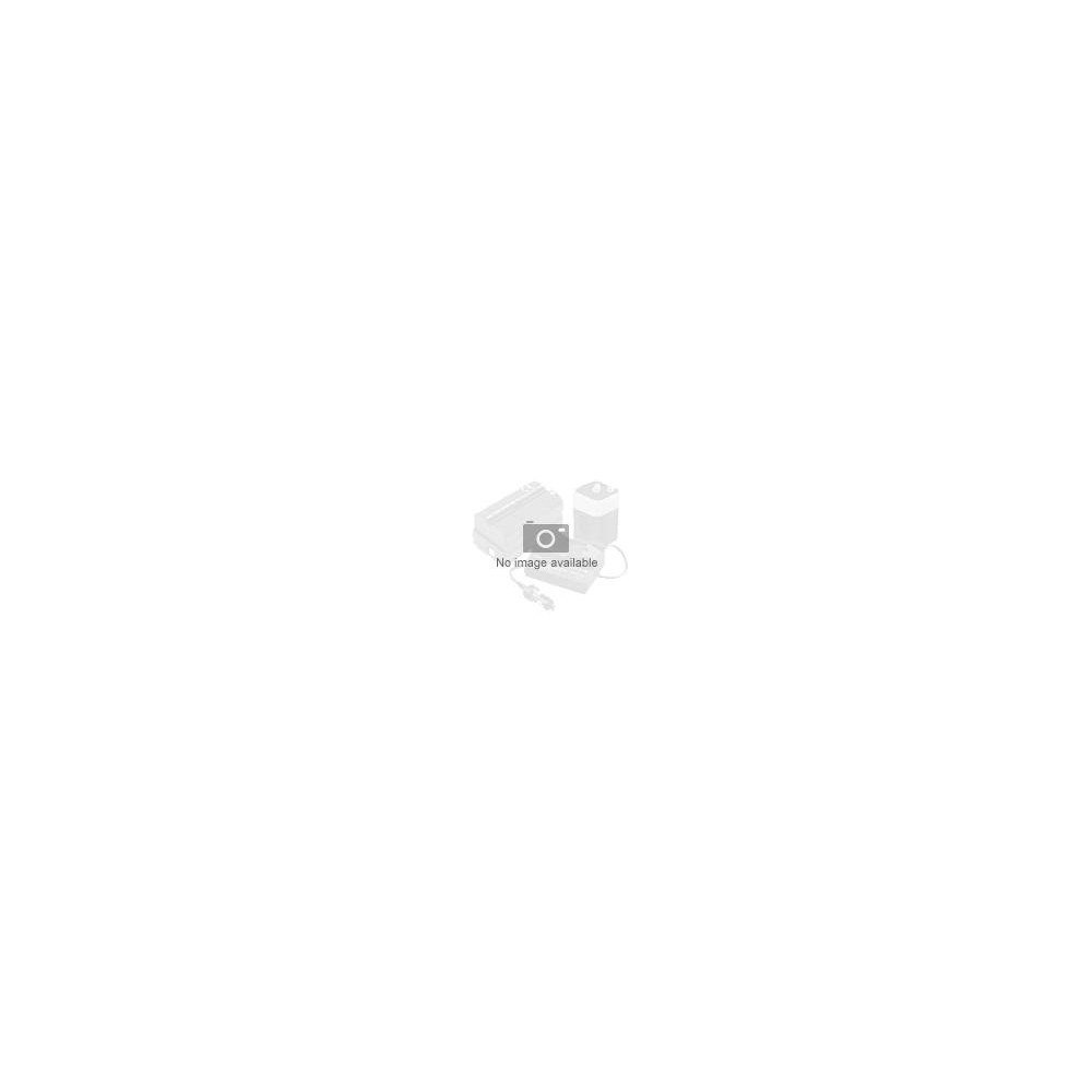NATEC Natec Ribera strömadapter - GaN - USB, 3 x USB-C - 100 Watt