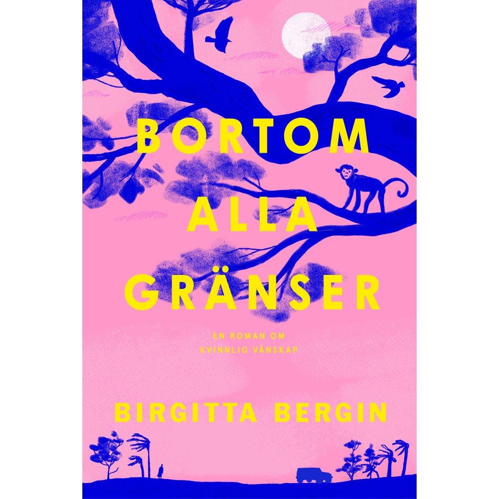 Birgitta Bergin Bortom alla gränser (pocket)