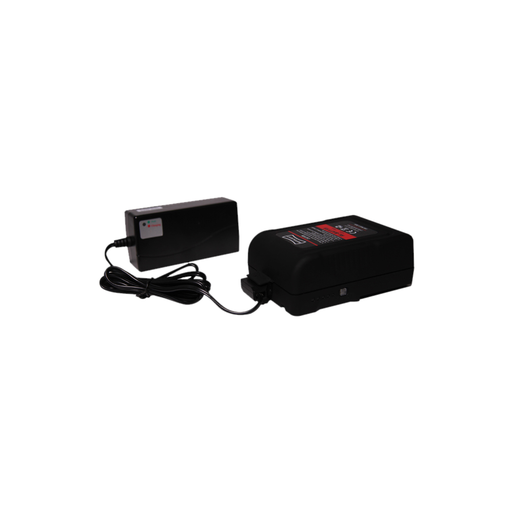 ROTOLIGHT Rotolight 95 Wh Battery & D-Tap Charger Bundle