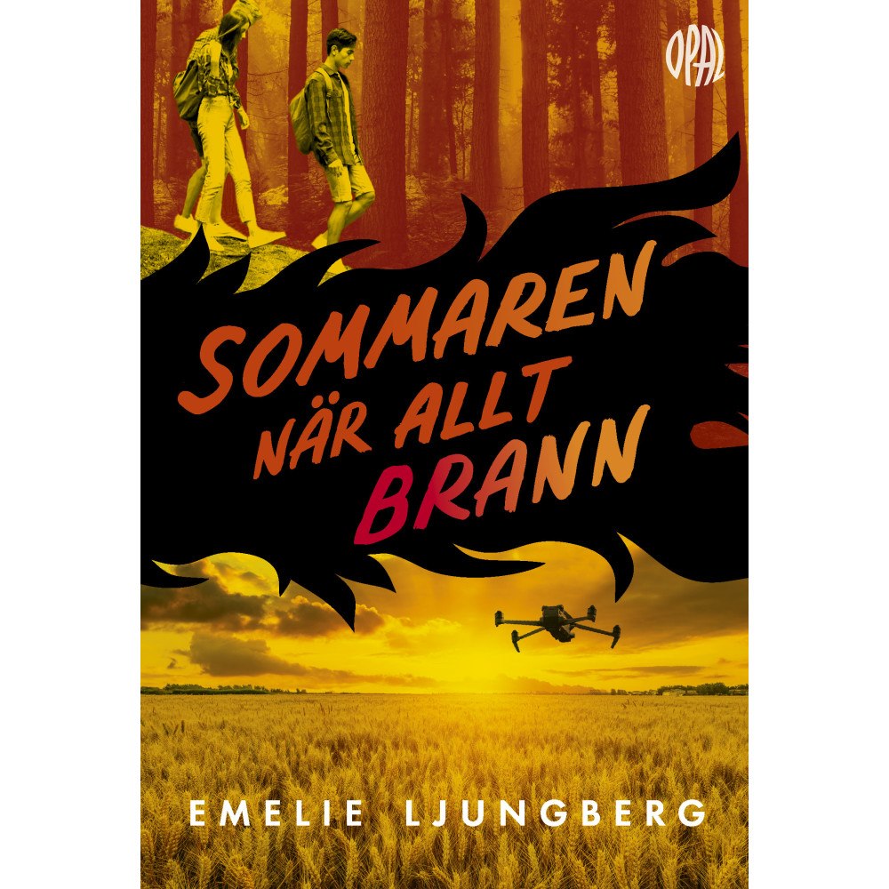 Emelie Ljungberg Sommaren när allt brann (bok, kartonnage)