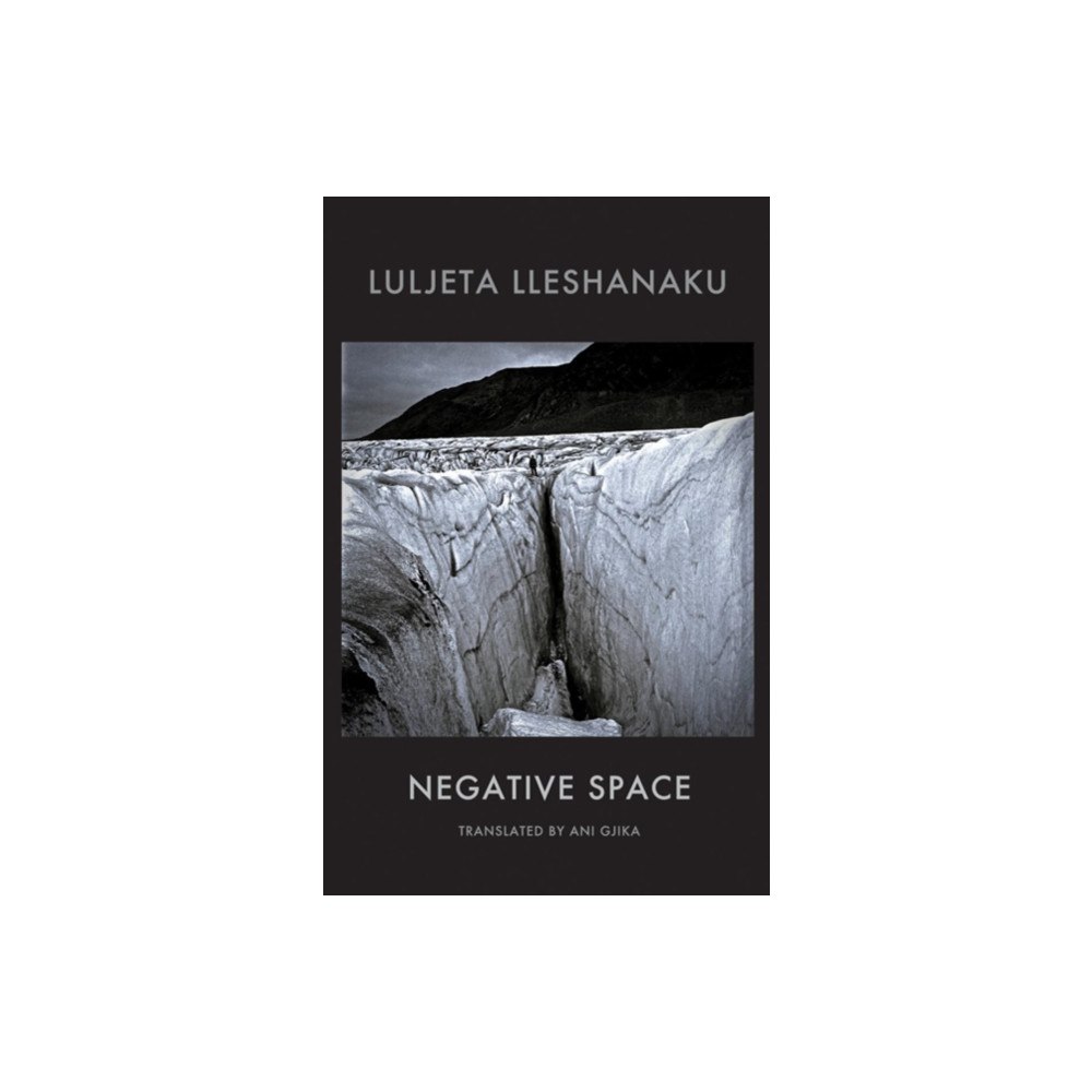 Bloodaxe Books Ltd Negative Space (häftad, eng)
