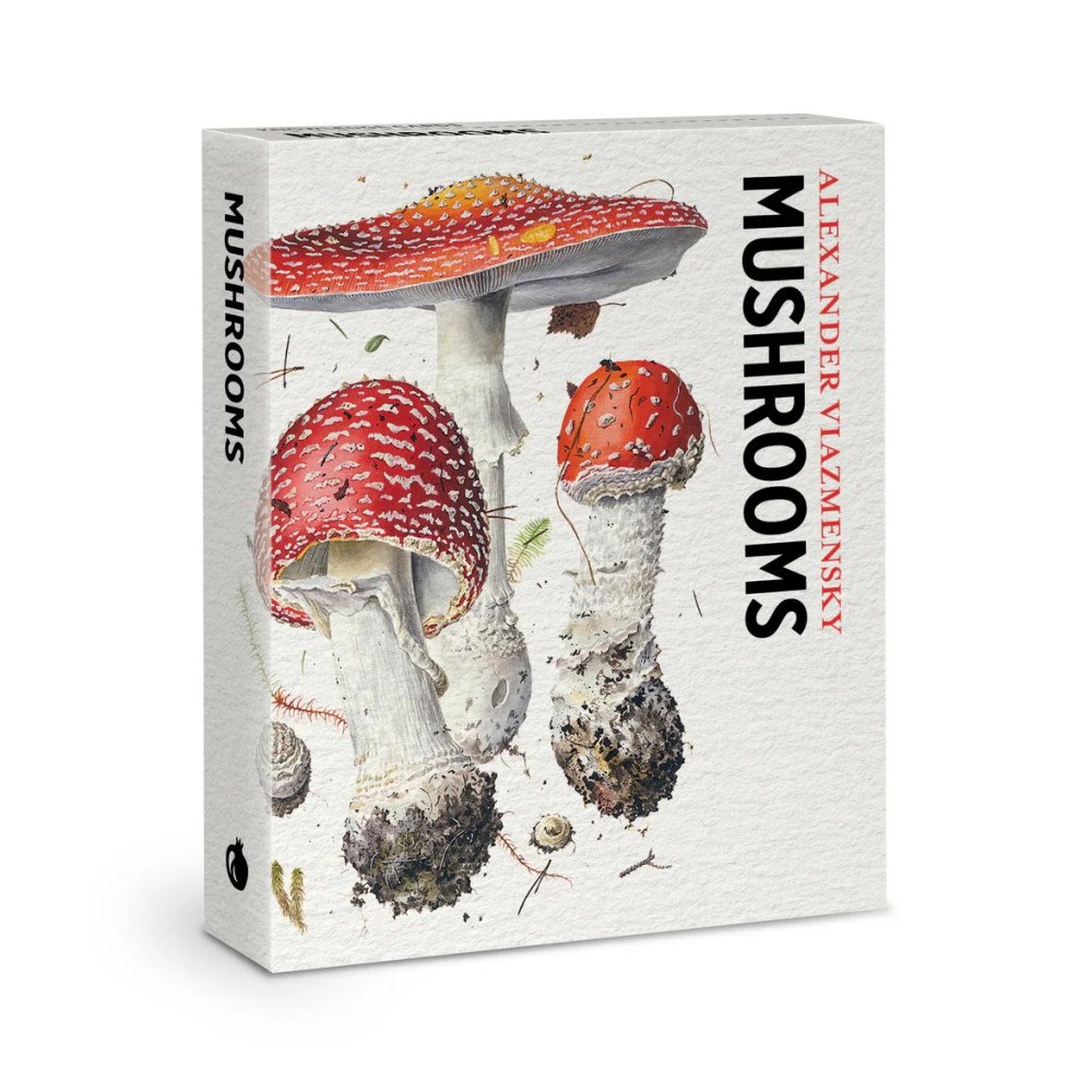 Pomegranate Europe Ltd Mushrooms Knowledge Cards