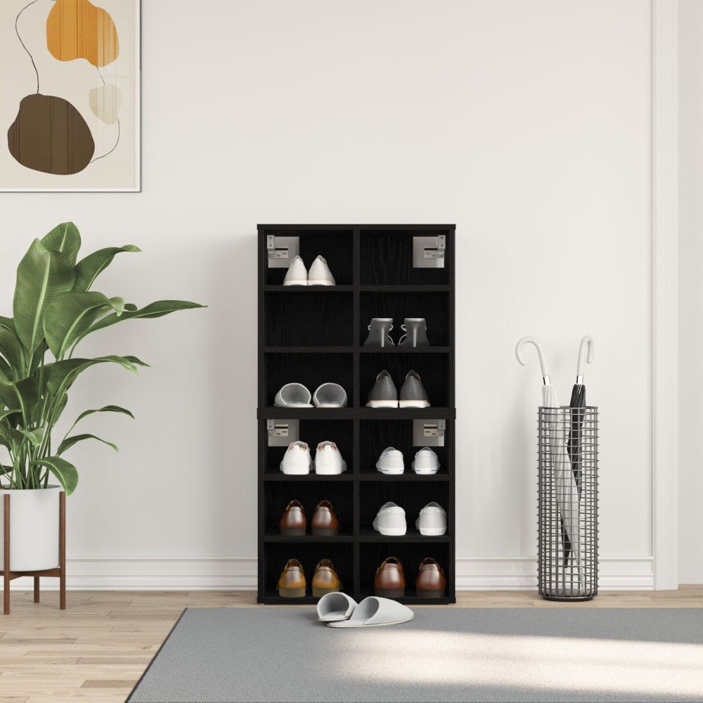 vidaXL Sko Cabinets 2 st Svart ek 52.5x30x50 cm