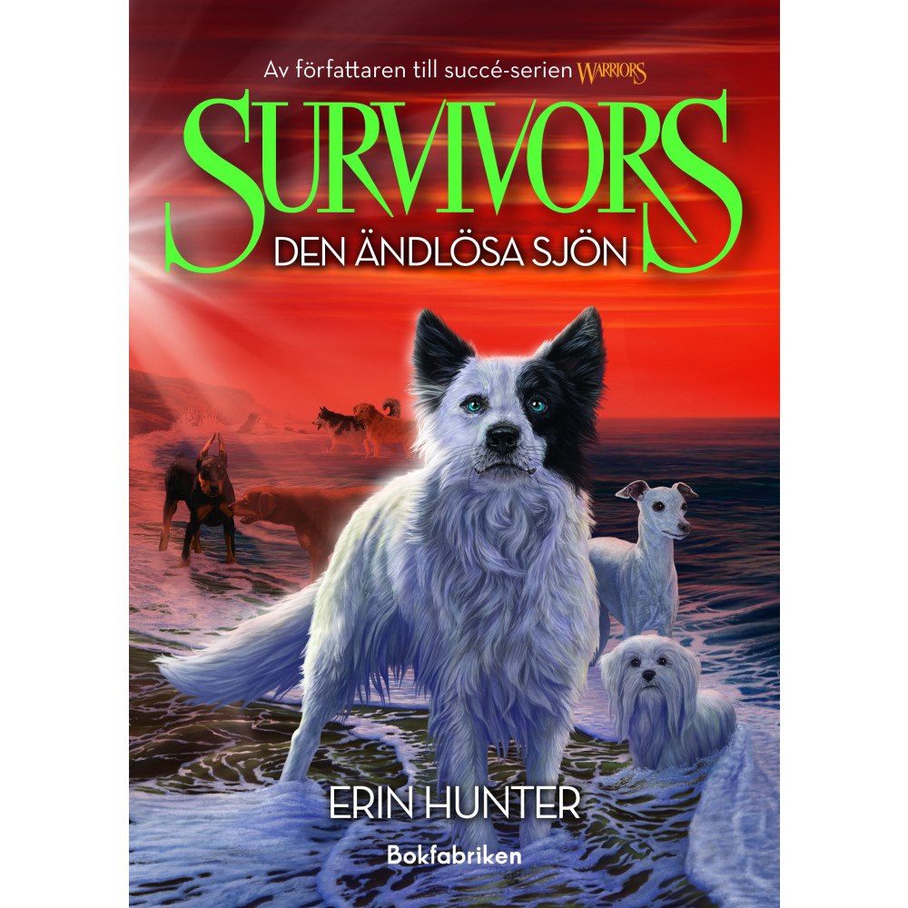 Erin Hunter Den ändlösa sjön (bok, kartonnage)