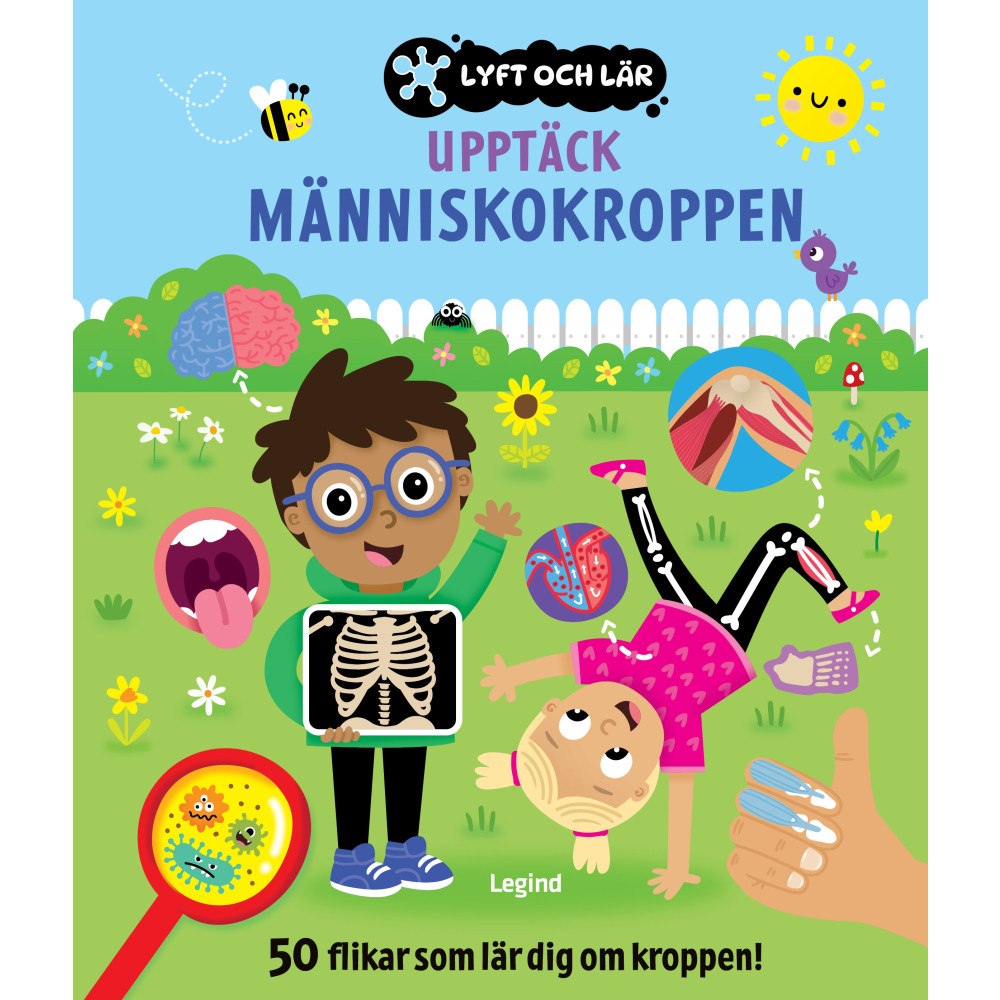 Legind A/S Upptäck människokroppen - med 50 flikar (bok, board book)