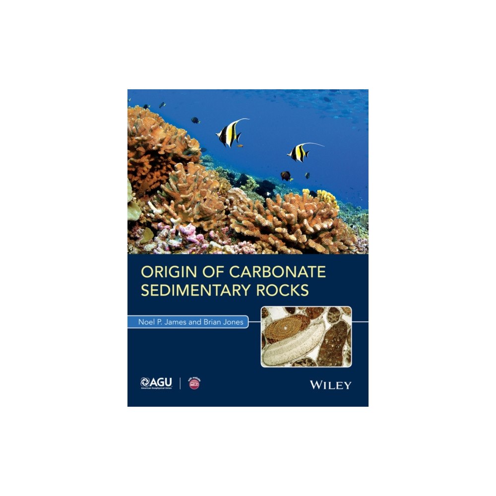 John Wiley & Sons Inc Origin of Carbonate Sedimentary Rocks (häftad, eng)