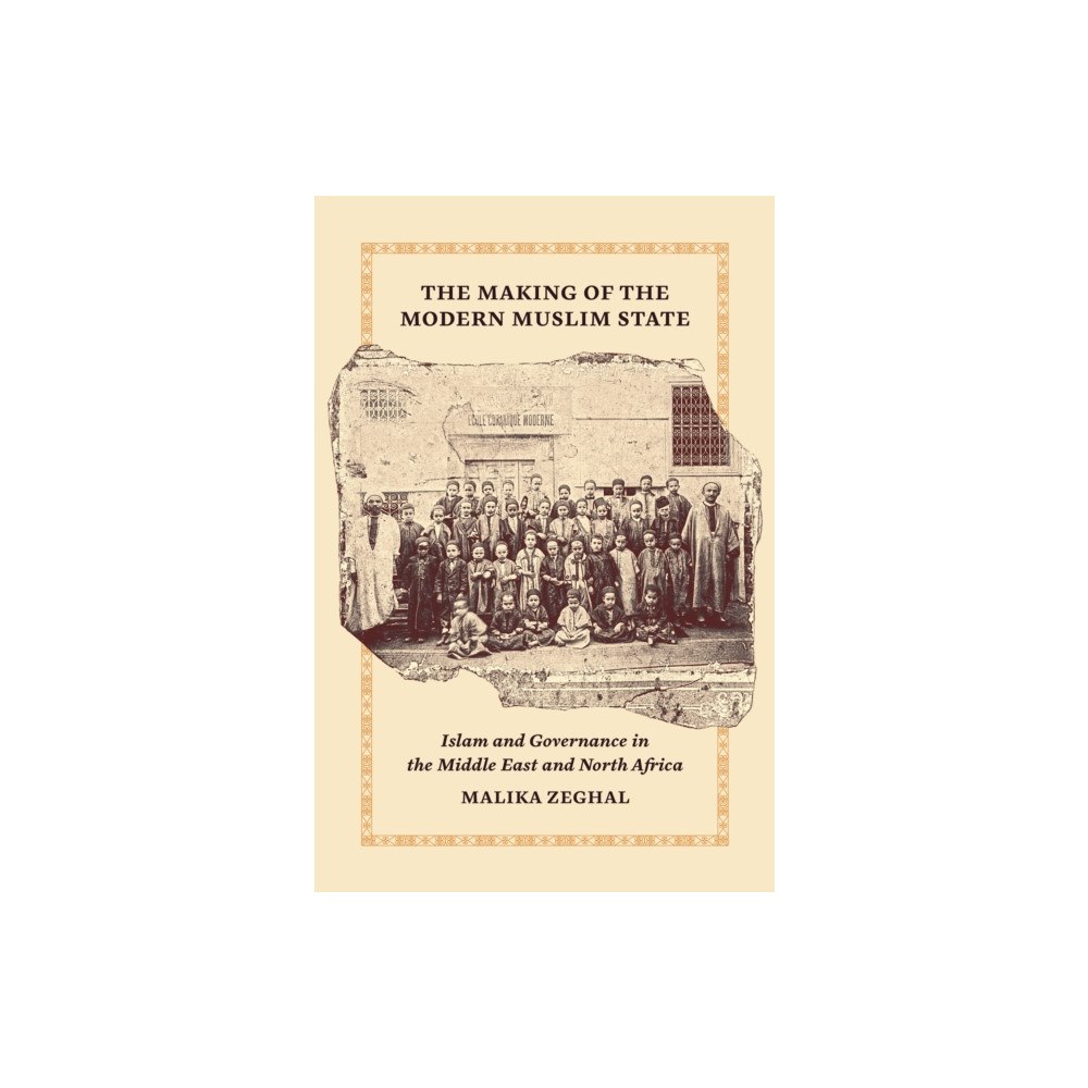 Princeton University Press The Making of the Modern Muslim State (häftad, eng)