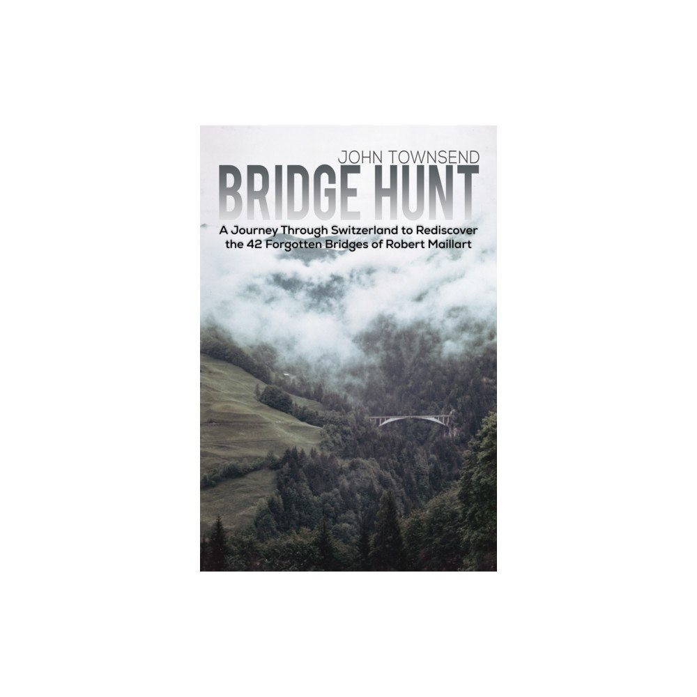 Austin Macauley Publishers Bridge Hunt (häftad, eng)
