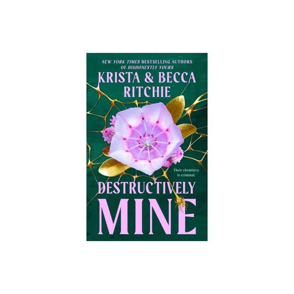 Krista Ritchie Destructively Mine (häftad, eng)