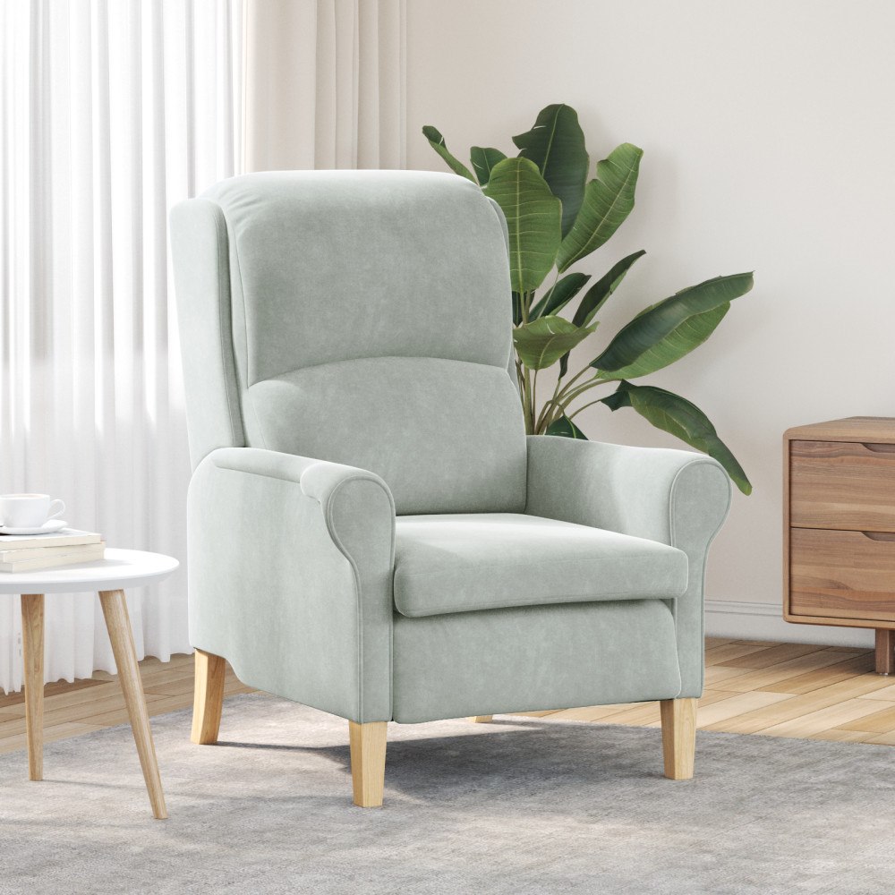 vidaXL Ljusgrå Fåtölj Ljusgrå Tygöverdrag med träben Standard Ergonomisk
