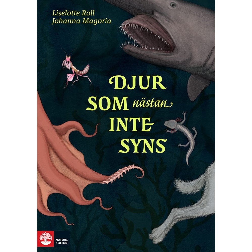 Liselotte Roll Djur som nästan inte syns (inbunden)