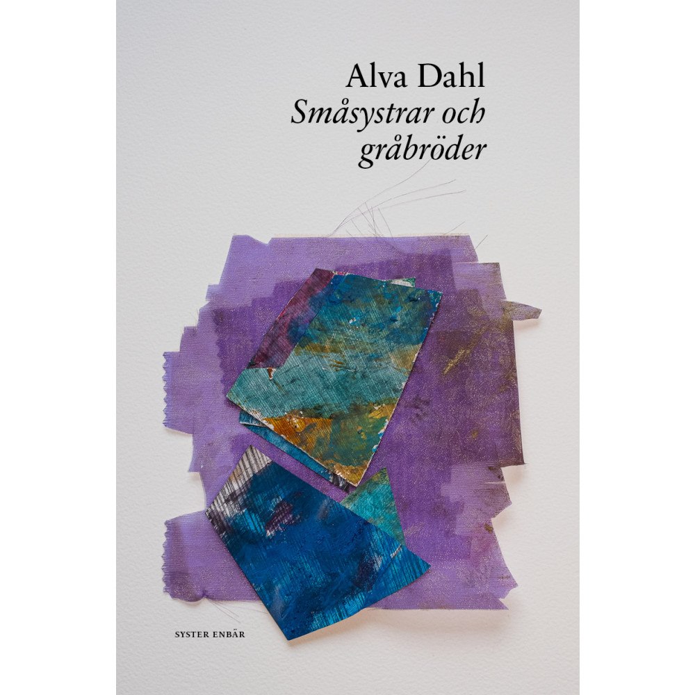 Alva Dahl Småsystrar och gråbröder (häftad)