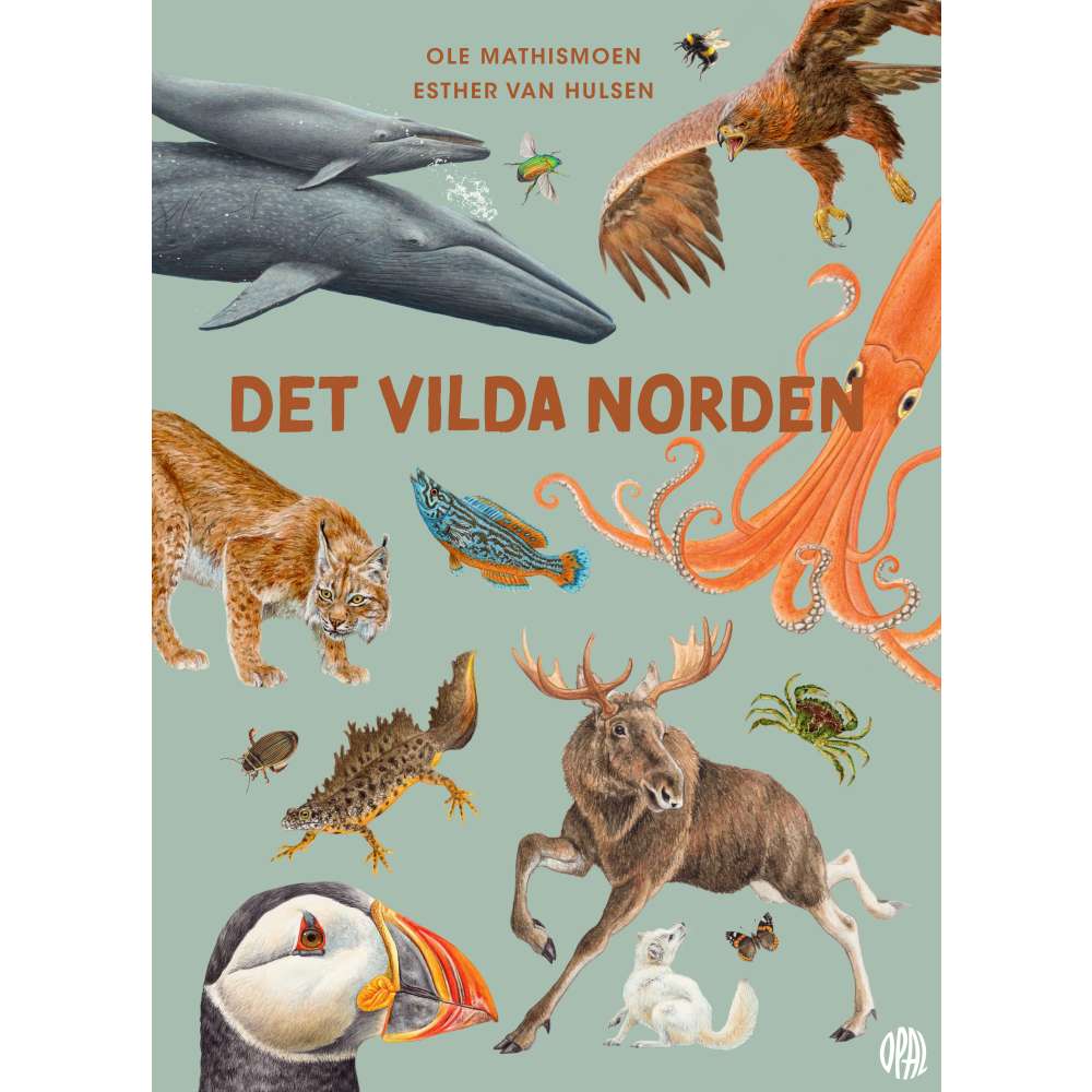 OPAL Det vilda Norden (inbunden)