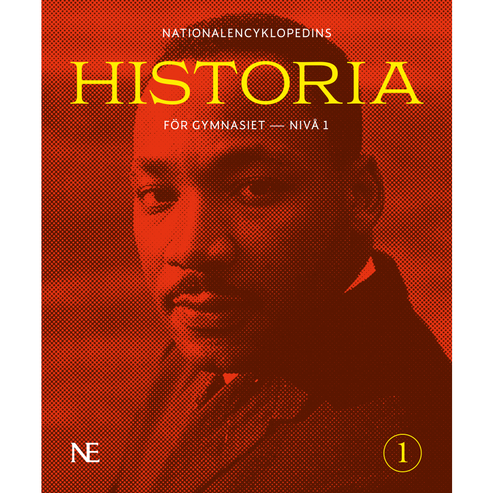 Johan Eriksson NE Historia för gymnasiet : nivå 1 (häftad)