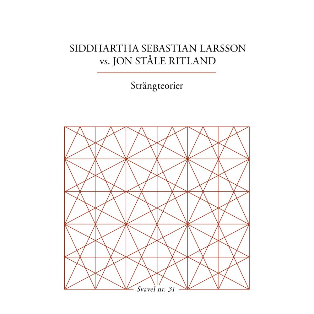 Siddhartha Sebastian Larsson Strängteorier (häftad)