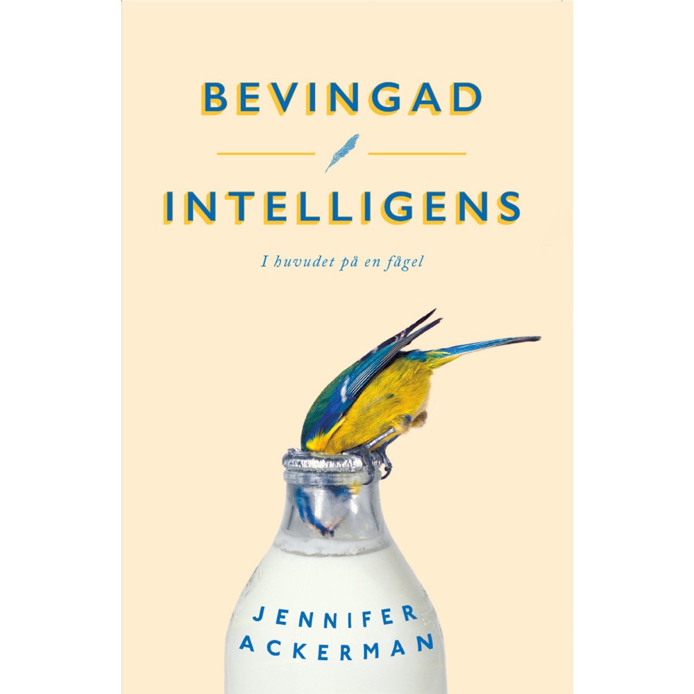 Jennifer Ackerman Bevingad intelligens : I huvudet på en fågel (pocket)