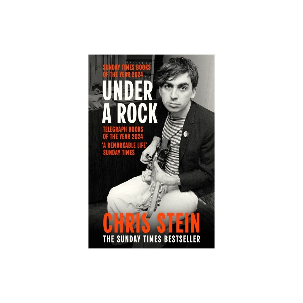 Chris Stein Under A Rock (häftad, eng)
