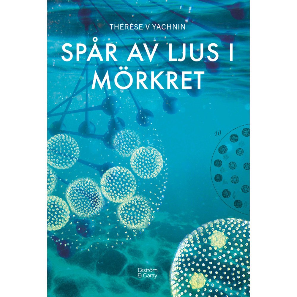 Thérèse V Yachnin Spår av ljus i mörkret (bok, danskt band)