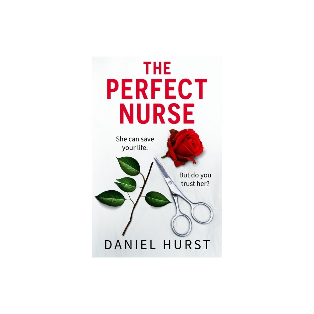 Daniel Hurst The Perfect Nurse (pocket, eng)