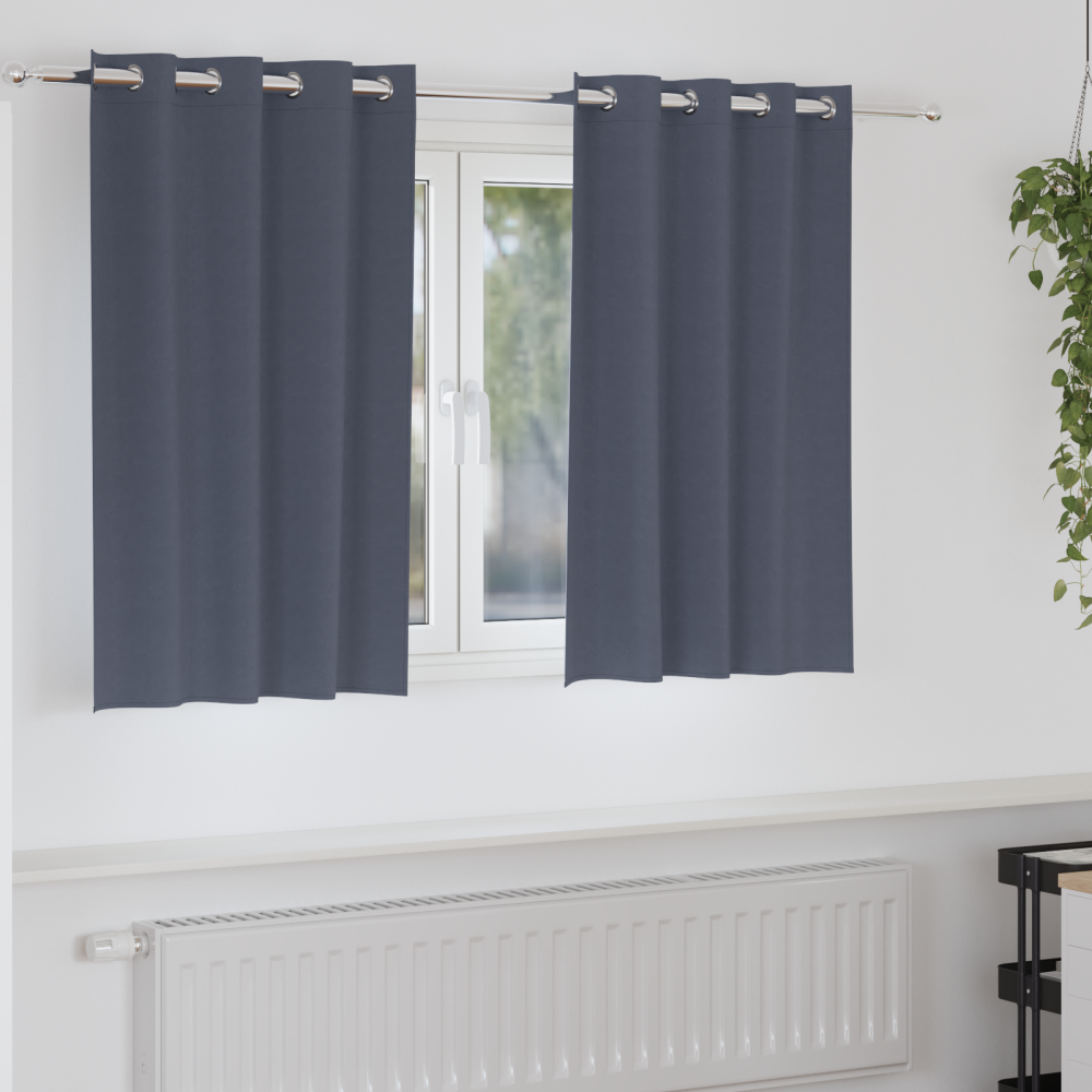 vidaXL Gardiner med gardiner 2 pcs Antracit 140 x 140 cm Polyester