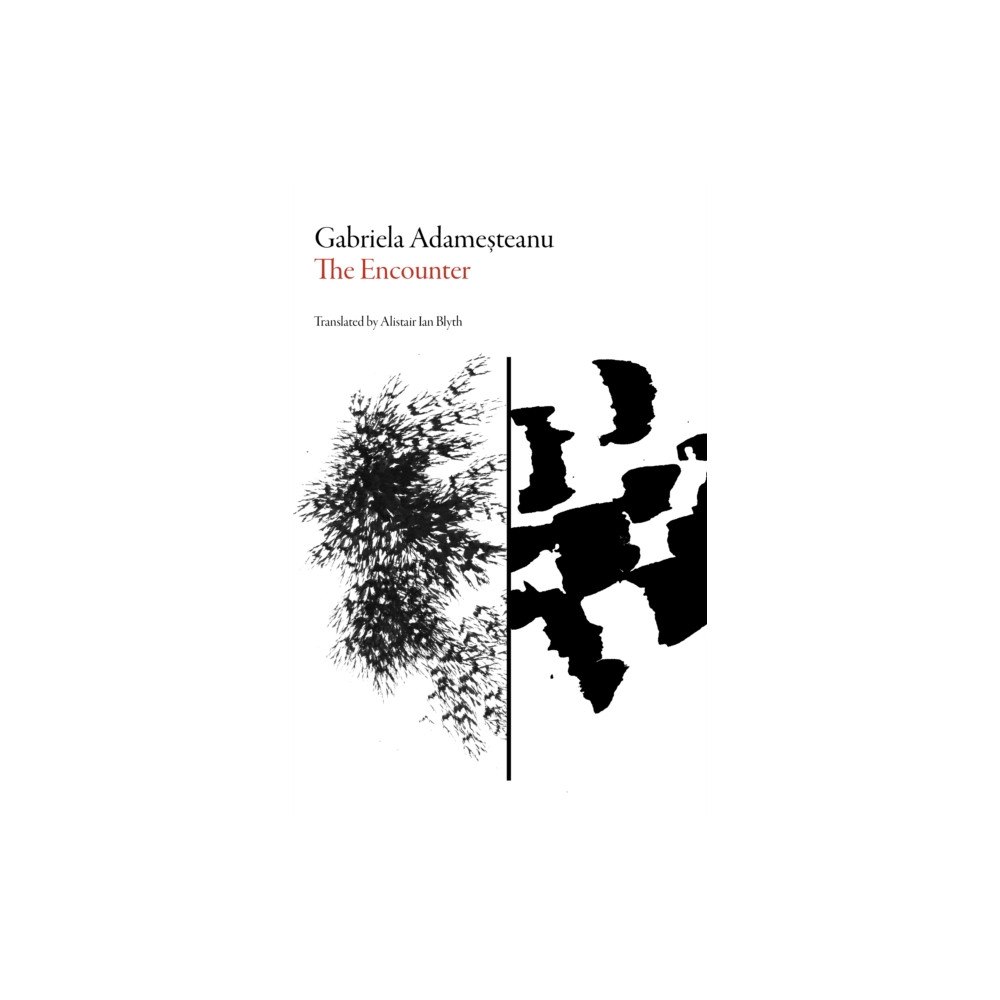 Dalkey Archive Press The Encounter (häftad, eng)