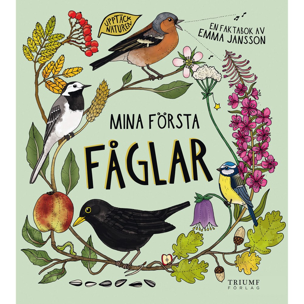 UPPTÄCK NATUREN Mina första fåglar