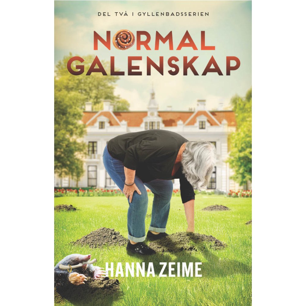 Hanna Zeime Normal galenskap (inbunden)