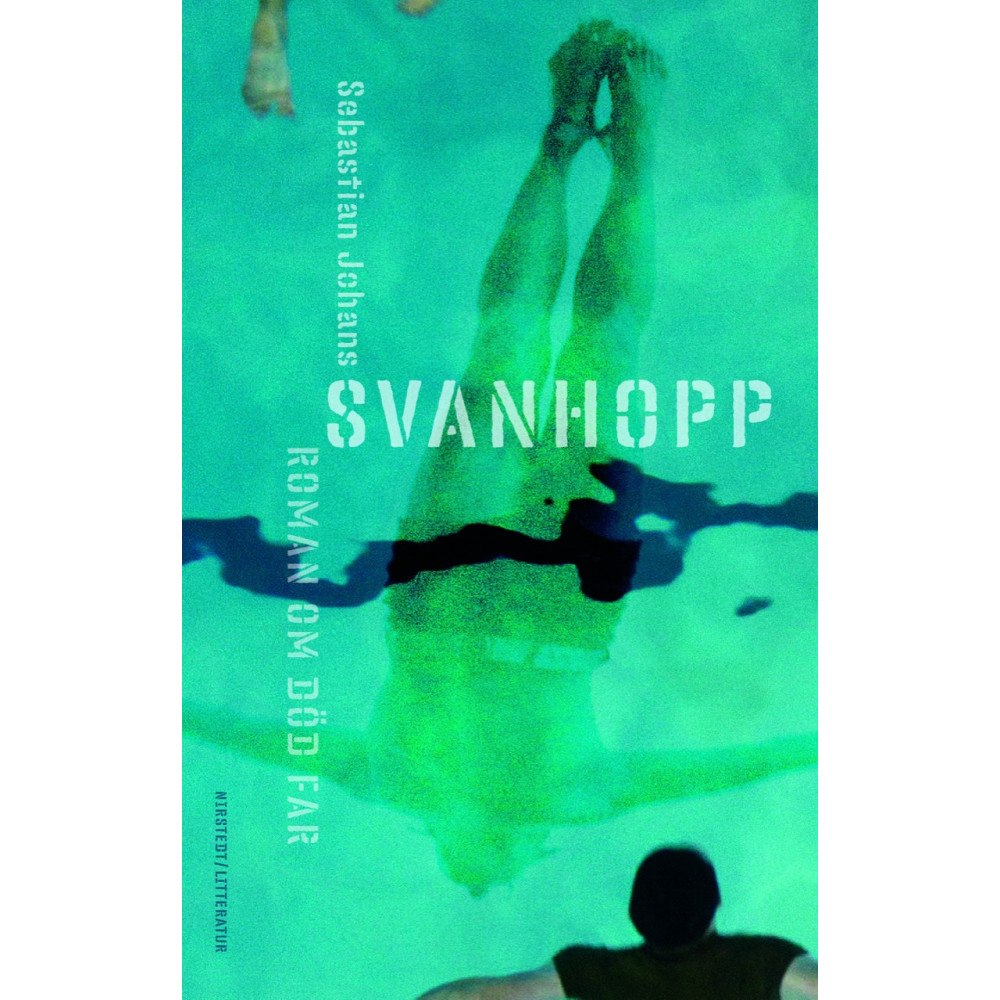 Sebastian Johans Svanhopp : roman om död far (inbunden)