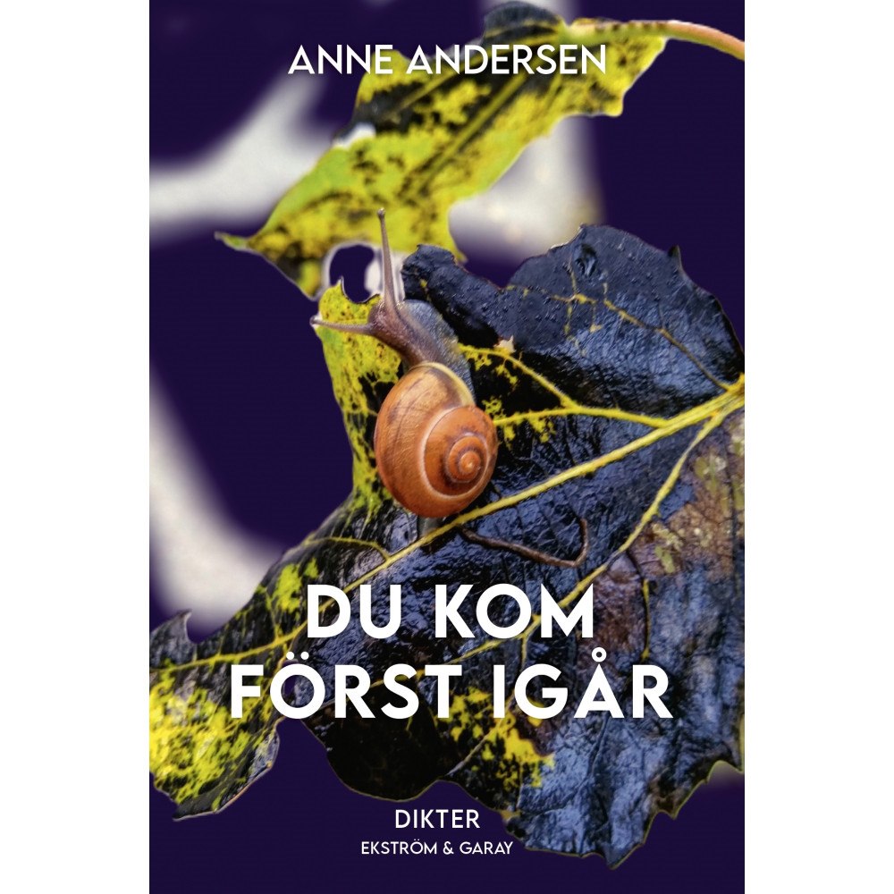 Anne Andersen Du kom först igår (bok, danskt band)