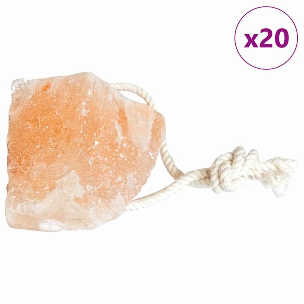 vidaXL Saltlick Stenar 20 pcs Rosa Bergssalt