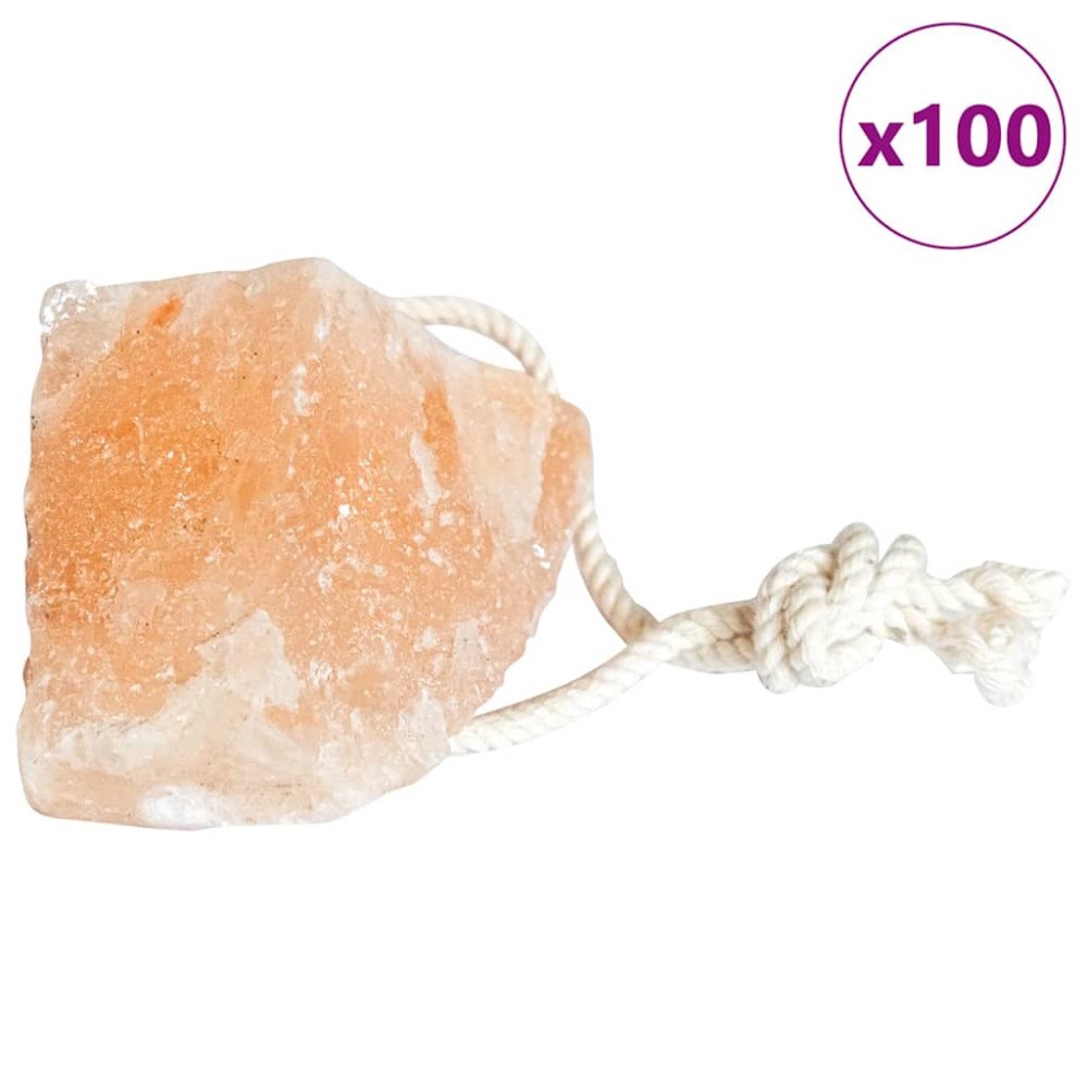 vidaXL Saltlick Stenar 100 pcs Rosa Bergssalt