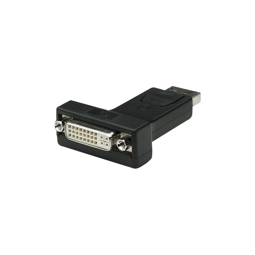 IC Intracom TECHly - videokort - DisplayPort till DVI-I - 7.3 cm