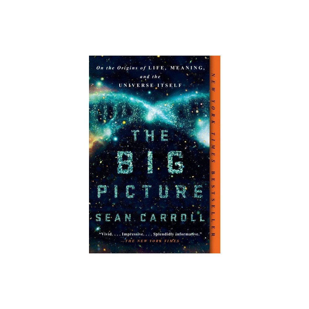 Penguin Group USA The Big Picture (häftad, eng)