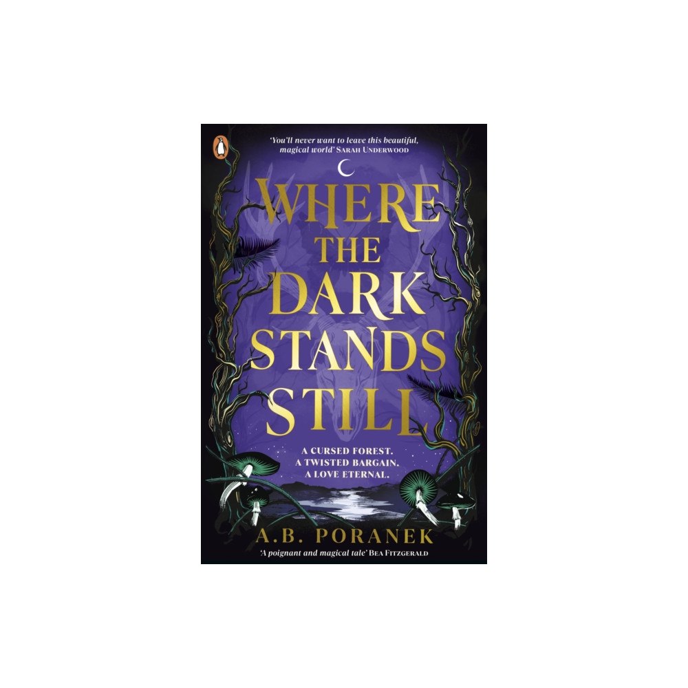 Penguin Random House Children's UK Where the Dark Stands Still (häftad, eng)