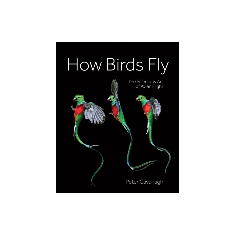 Firefly Books Ltd How Birds Fly (inbunden, eng)