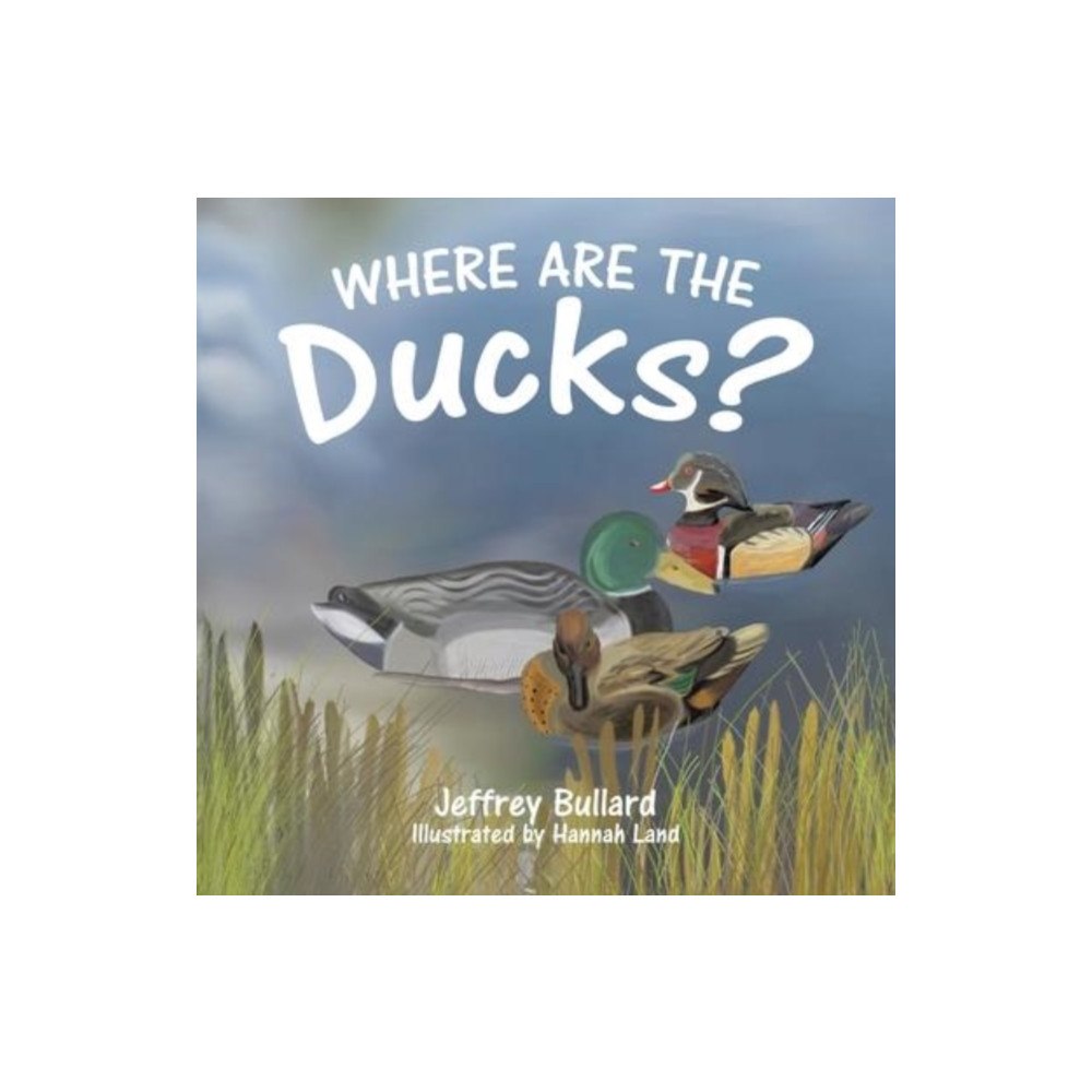 TellWell Press Where Are the Ducks? (häftad, eng)