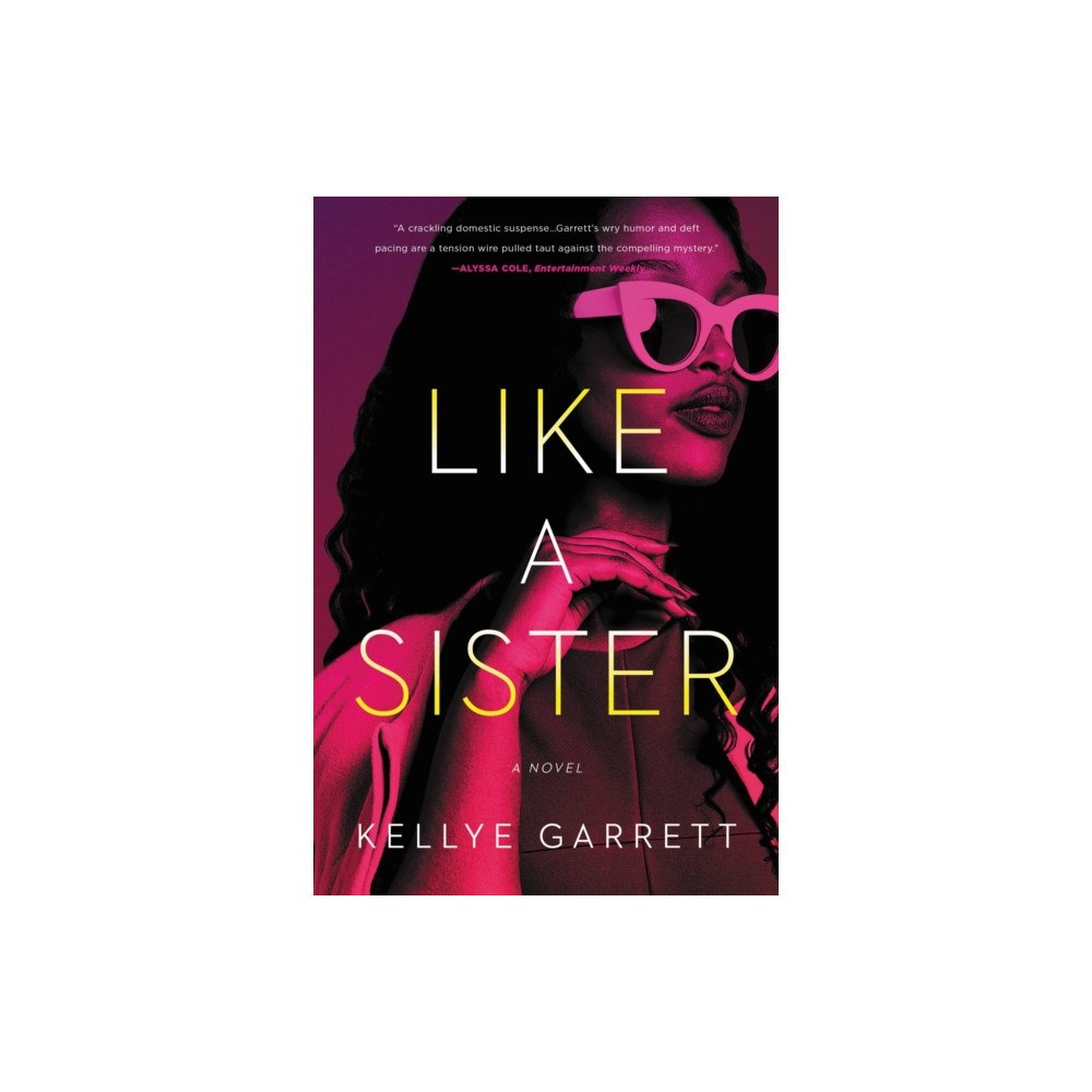 Little Brown & Co Like a Sister (häftad, eng)
