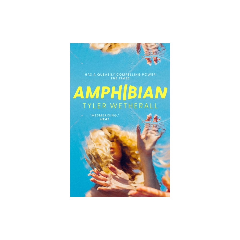 Little, Brown Book Group Amphibian (häftad, eng)