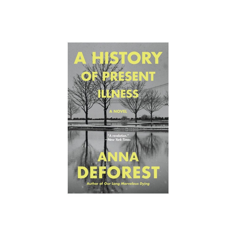 Little Brown & Co A History of Present Illness (häftad, eng)