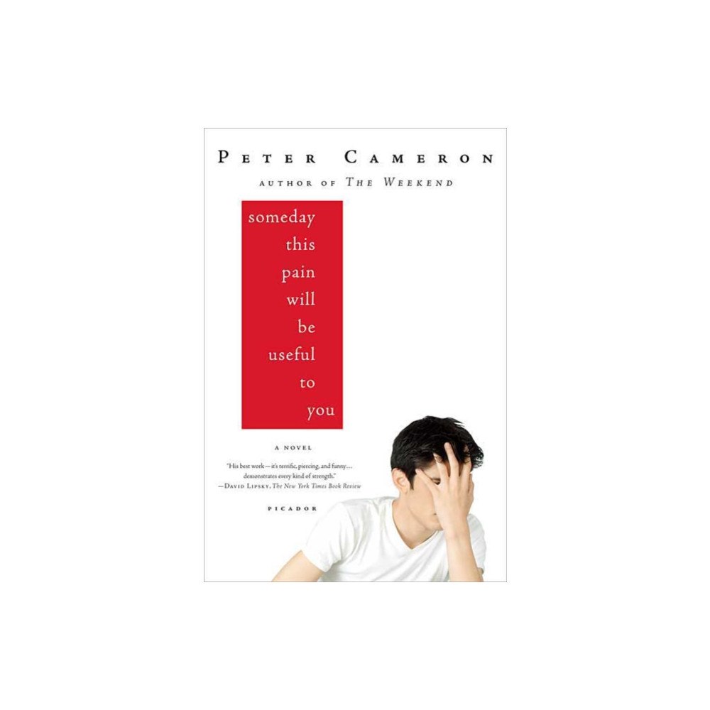 PICADOR Someday This Pain Will Be Useful to You (häftad, eng)