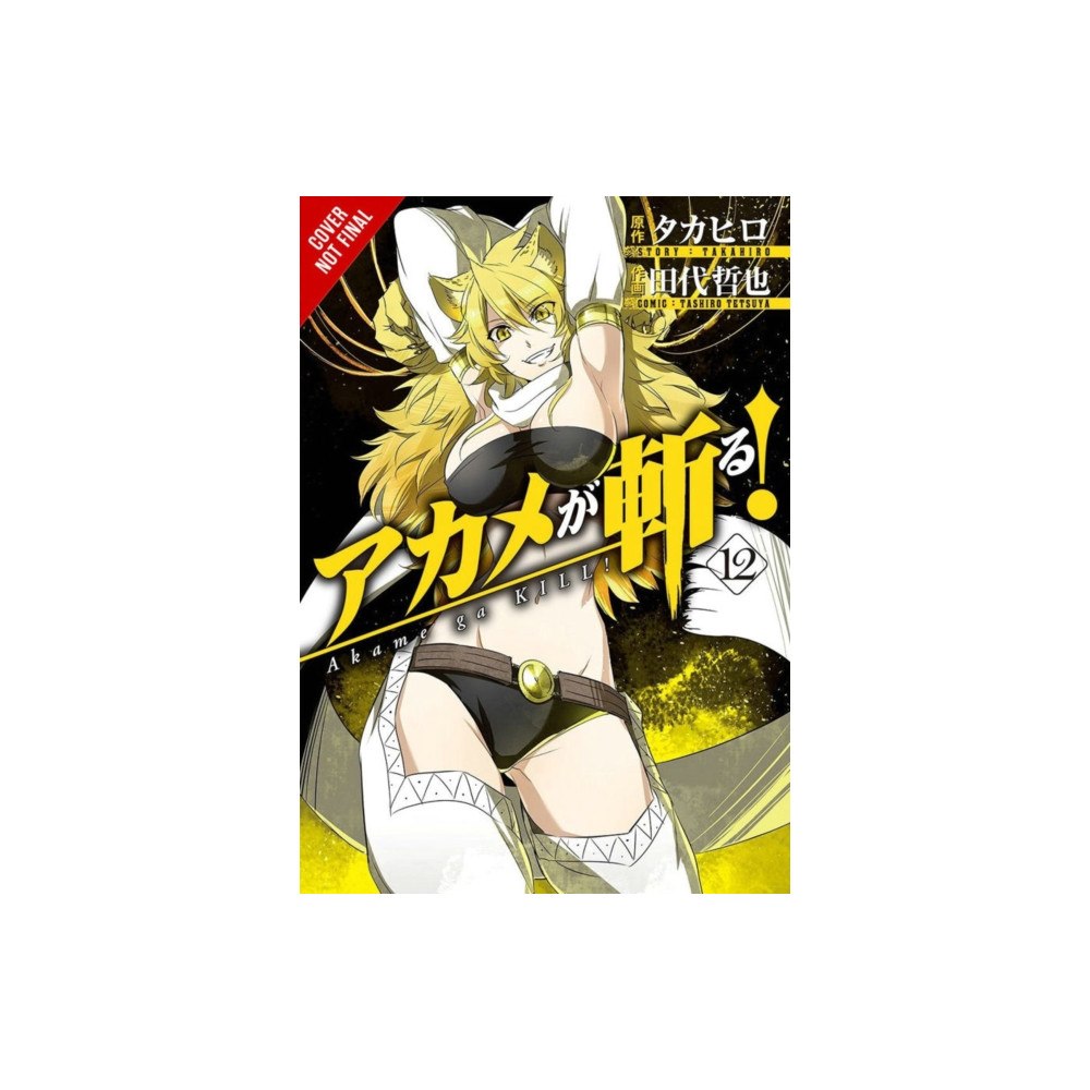 Little, Brown & Company Akame ga KILL!, Vol. 12 (häftad, eng)
