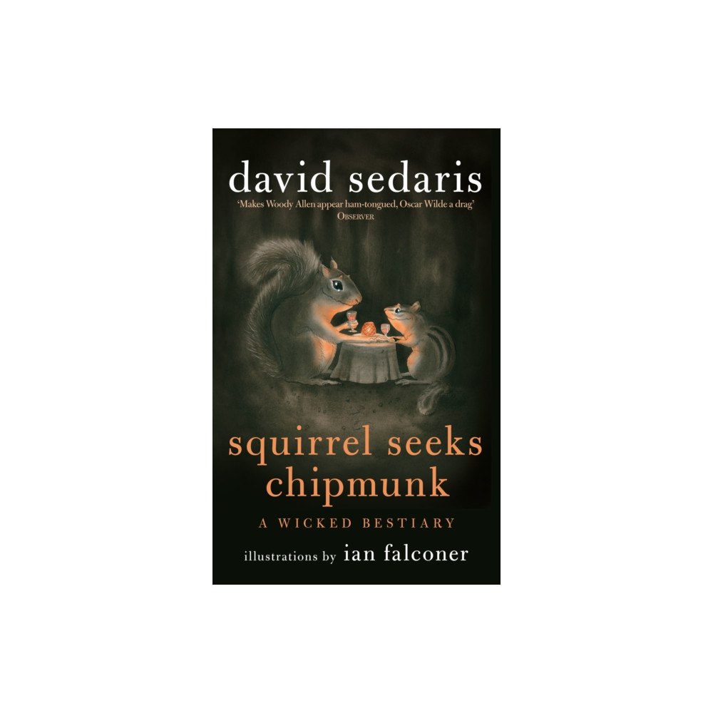 Little, Brown Book Group Squirrel Seeks Chipmunk (häftad, eng)