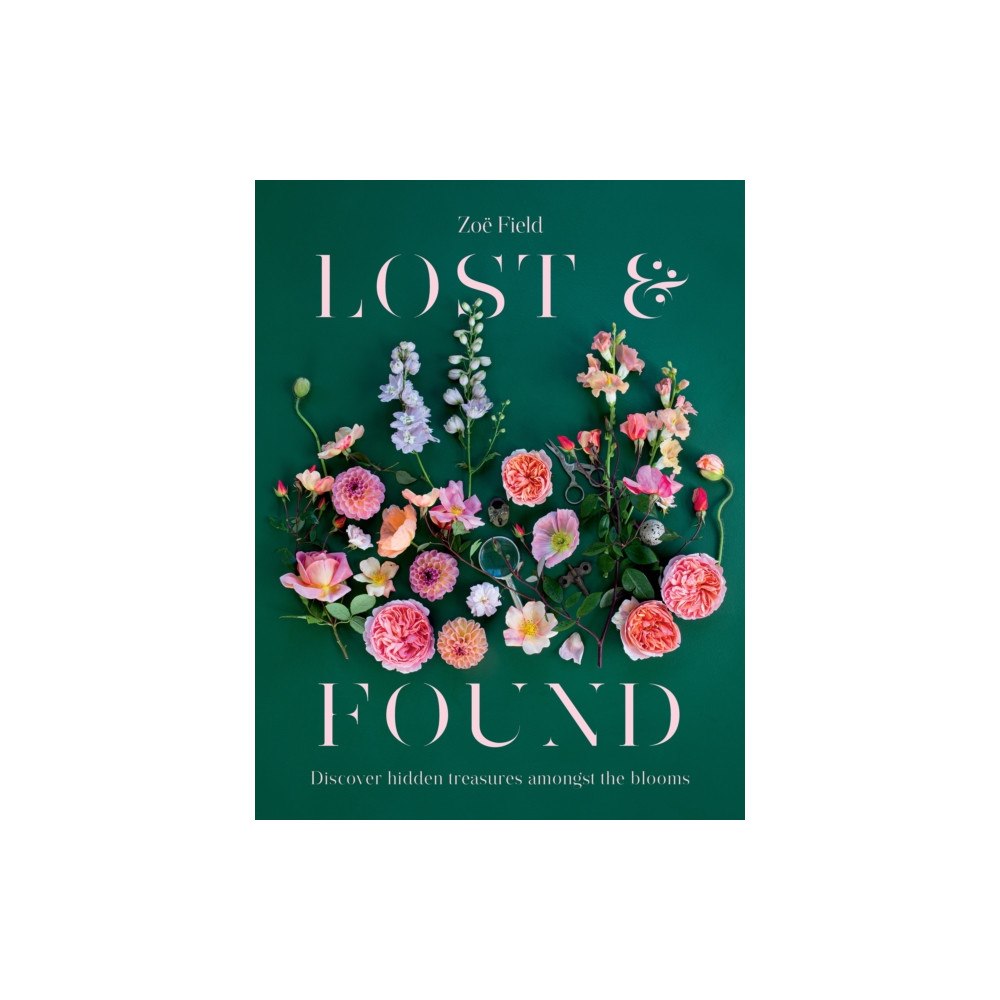 Koa Press Ltd Lost & Found (inbunden, eng)