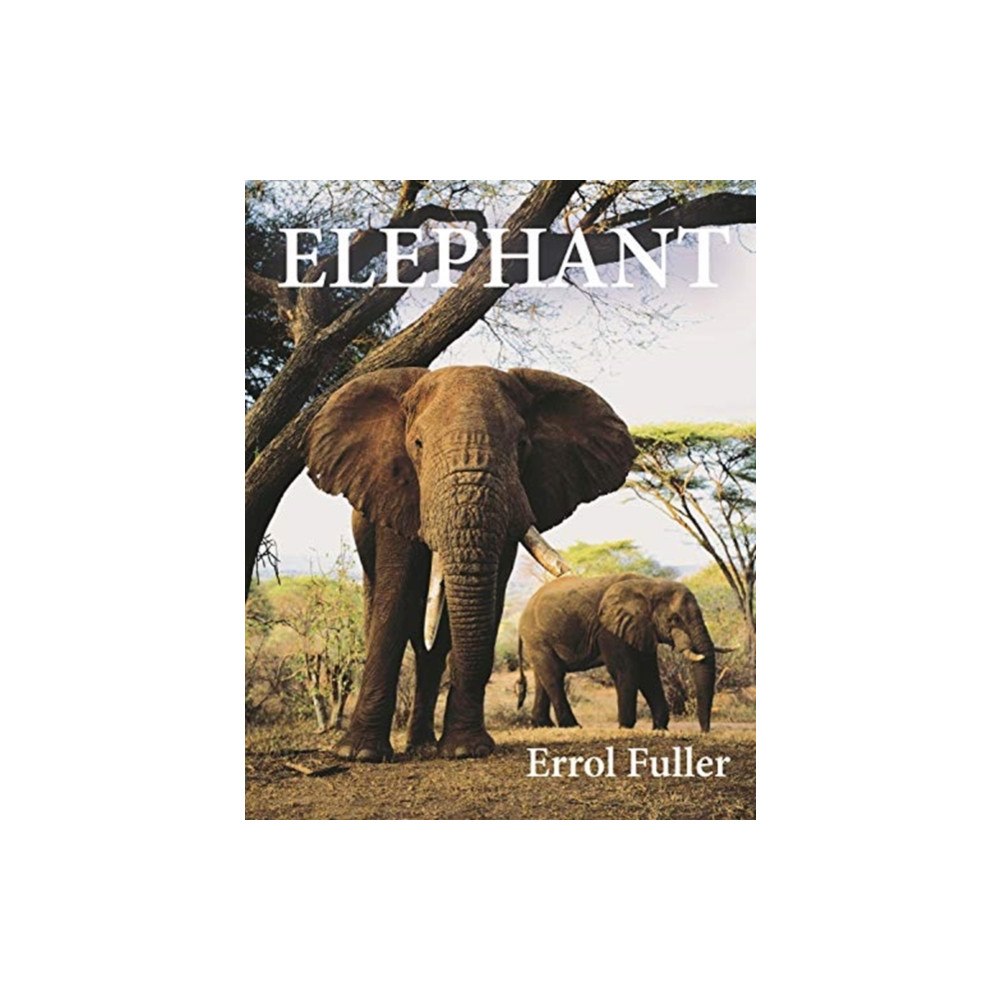 Princeton University Press Elephant (inbunden, eng)